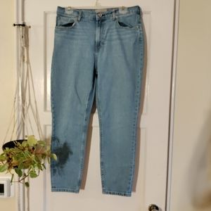 Everlane Light Wash Ankle Cropped Jeans